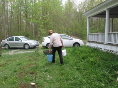 Watering the plants